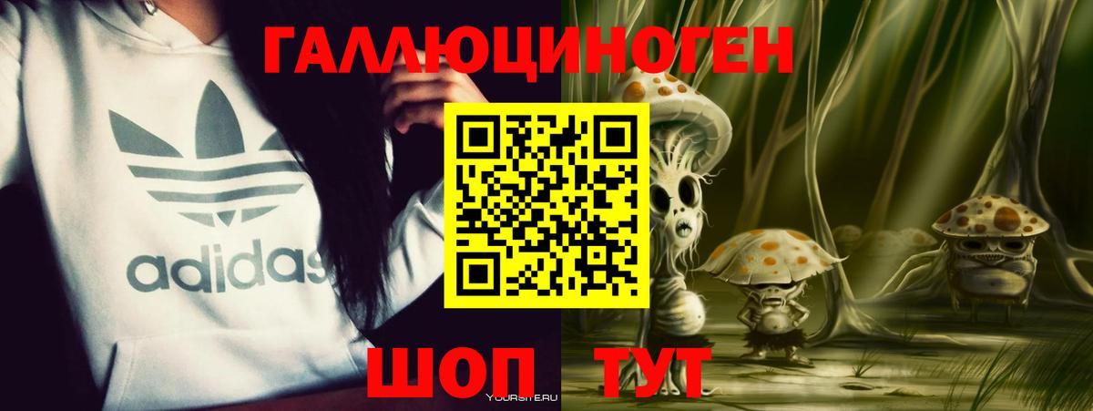 Псилоцибиновые грибы Psilocybine cubensis  Вход с VPN  наркота  Коммунар 